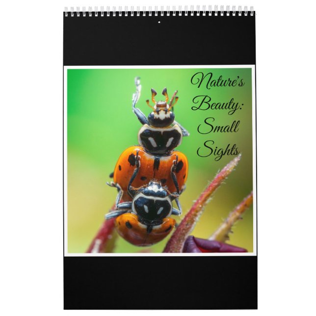 Ladybug Macro Photo Nature Wall Art Calendar 2026  (Cover)