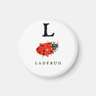 Ladybug magnet