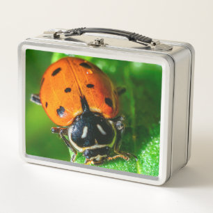 Ladybug Metal Lunchbox   Macro Nature Design