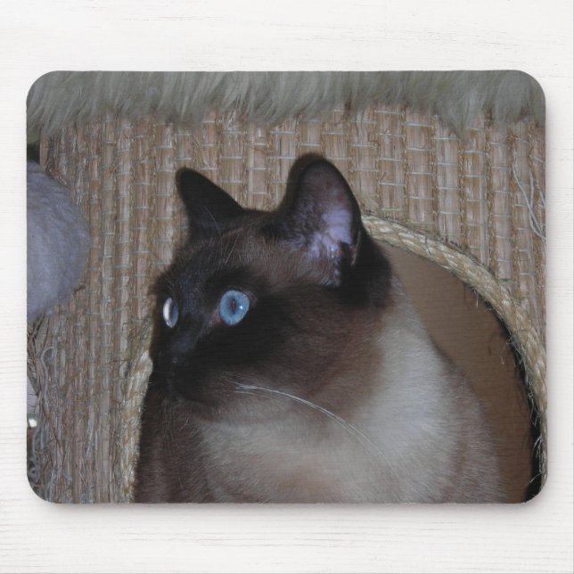 Ladybug Mousepad (Front)