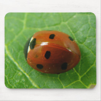 Ladybug Mousepad