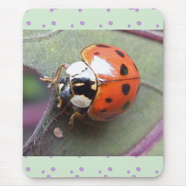 Ladybug Mousepad (Front)
