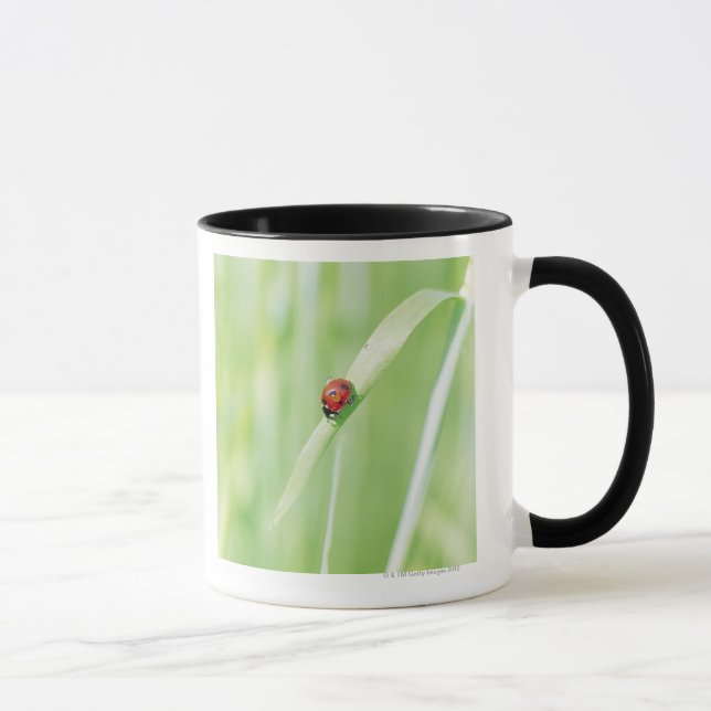 Ladybug Mug (Right)