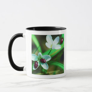 Ladybug Mug