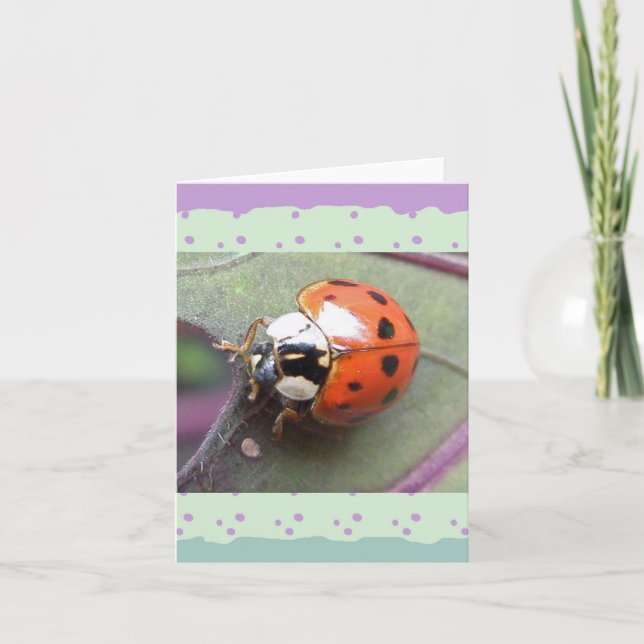 Ladybug Note Card (Front)