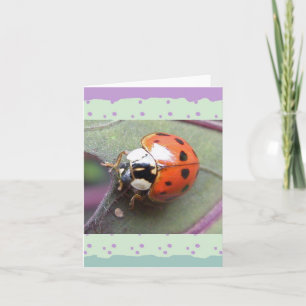 Ladybug Note Card