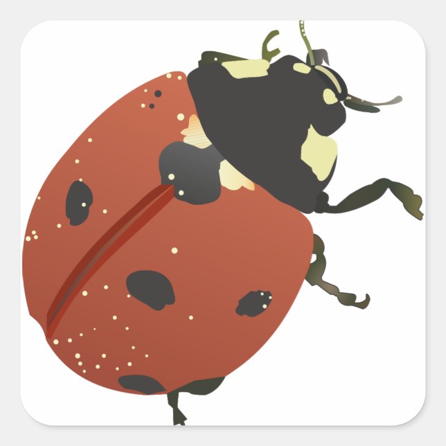 LadyBug Office Home  Personalize Destiny Destiny'S Square Sticker (Front)