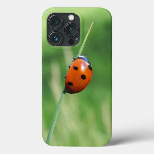 Ladybug on a blade of grass iPhone 13 pro case