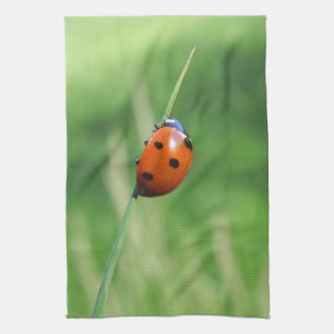 Ladybug on a blade of grass Kitchen Towel