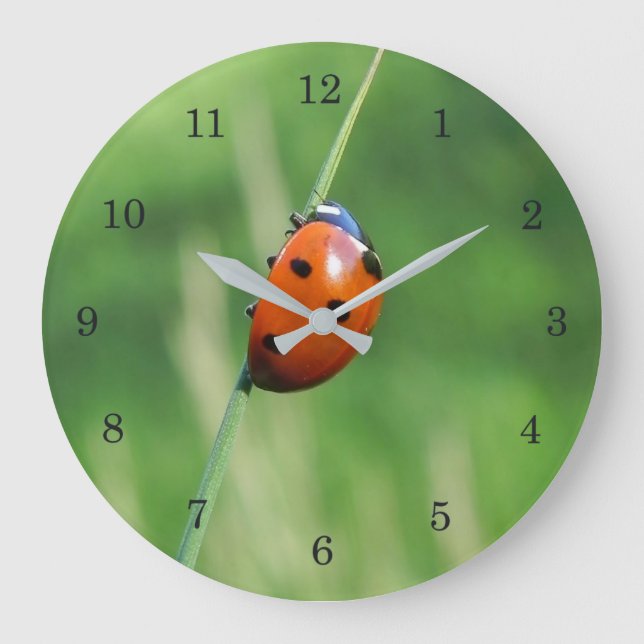 Ladybug on a blade of grass large clock (Front)