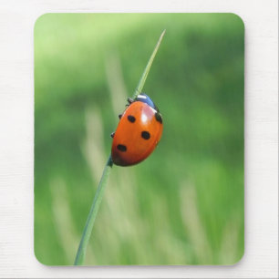 Ladybug on a blade of grass Mousepads