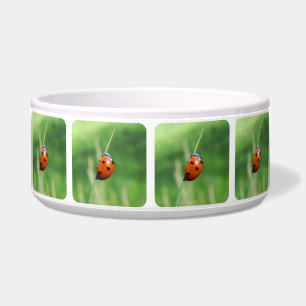 Ladybug on a blade of grass Pet Bowls