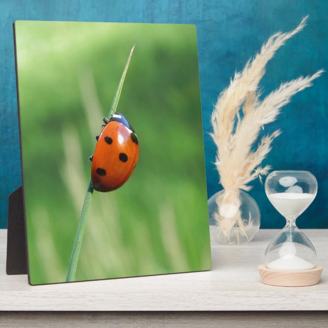 Ladybug on a blade of grass plaque (Side)