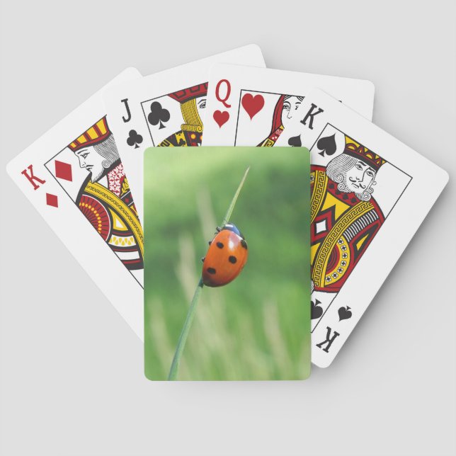 Ladybug on a blade of grass Playing Cards (Back)
