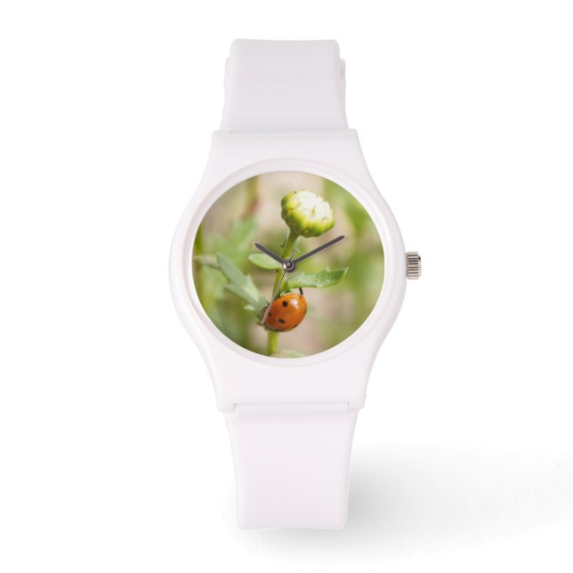 Ladybug on a Daisy Bud Watch (Front)