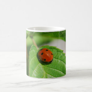 Ladybug on a leaf coffee mug