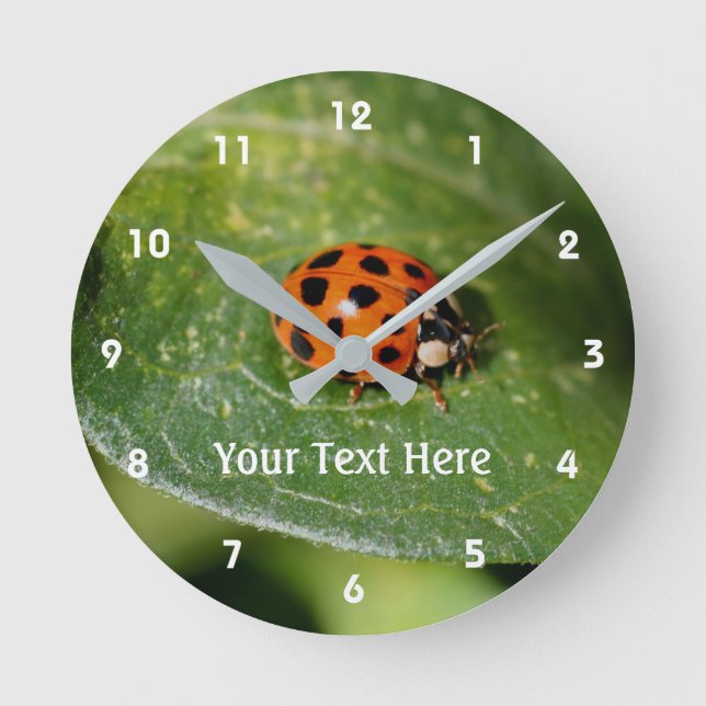 Ladybug On A Leaf Nature Round Clock (Front)