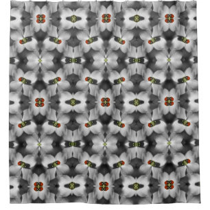 Ladybug On Dogwood Flower Abstract Nature  