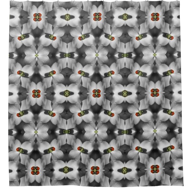 Ladybug On Dogwood Flower Abstract Nature   (Front)