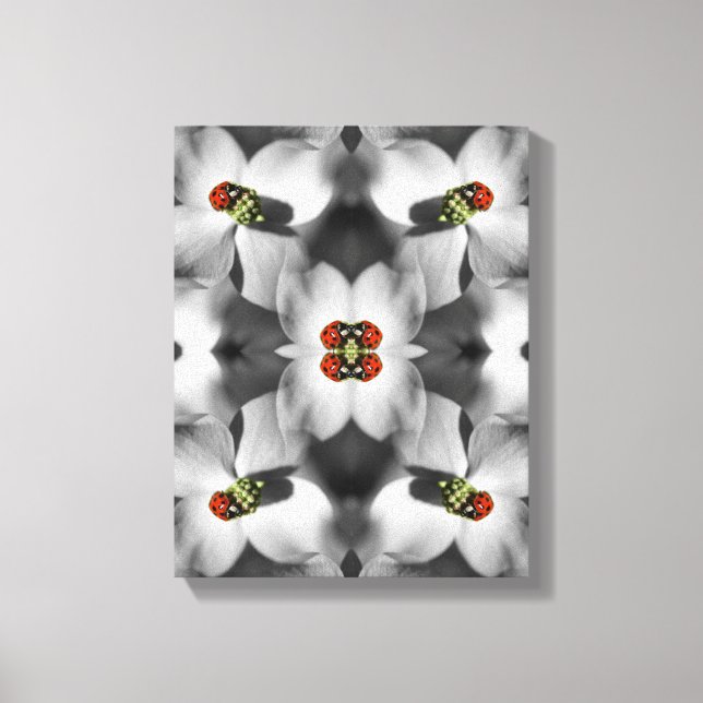 Ladybug On Dogwood Flower Abstract Nature   Canvas Print (Front)
