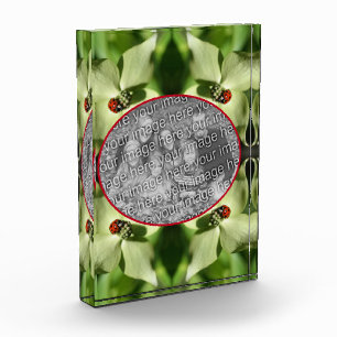 Ladybug On Dogwood Flower Add Your Own  Photo Block