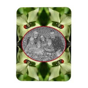 Ladybug On Dogwood Flower Frame Add Your Photo Magnet