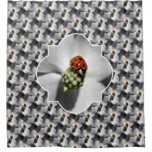 Ladybug On Dogwood Flower Nature Pattern 