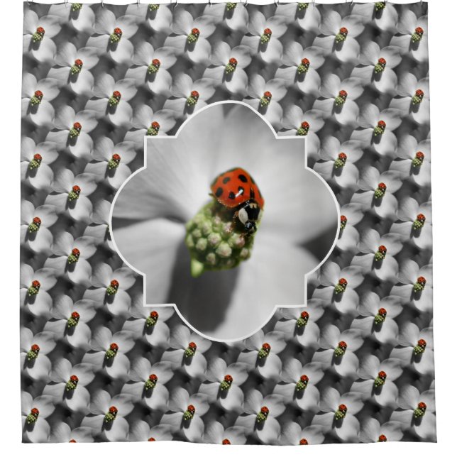 Ladybug On Dogwood Flower Nature Pattern  (Front)