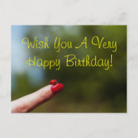 Ladybug on finger happy birthday wish