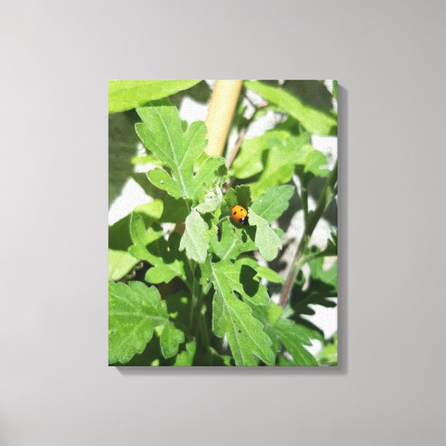Ladybug on Flowers Canvas Print (Front)