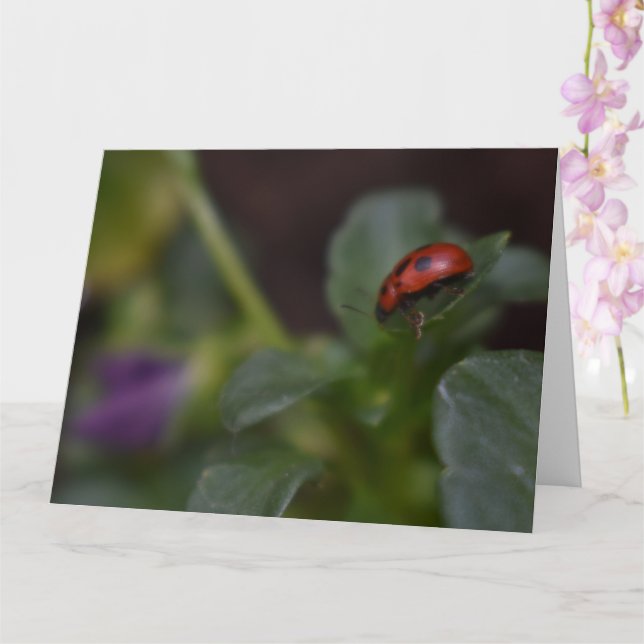 Ladybug on Flowers Card (Orchid)