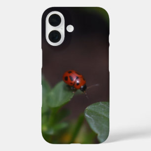 Ladybug on Flowers iPhone 16 Case