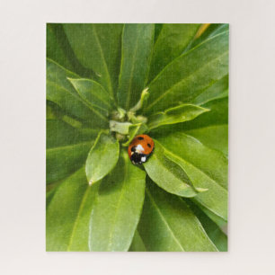 Ladybug on Flowers Jigsaw Puzzle