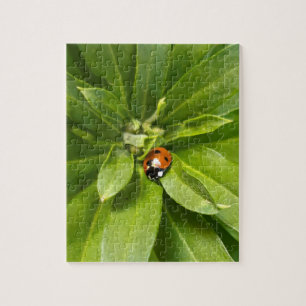 Ladybug on Flowers Jigsaw Puzzle