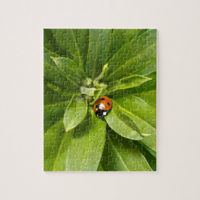 Ladybug on Flowers Jigsaw Puzzle (Vertical)