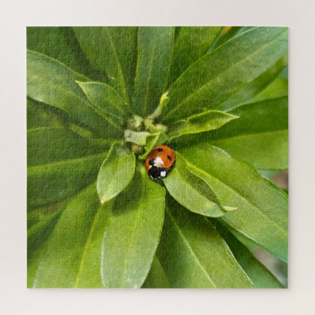 Ladybug on Flowers Jigsaw Puzzle (Vertical)