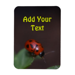 Ladybug on Flowers Magnet