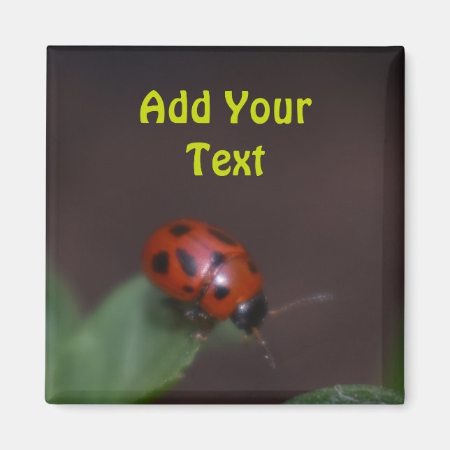 Ladybug on Flowers Magnet (Front)