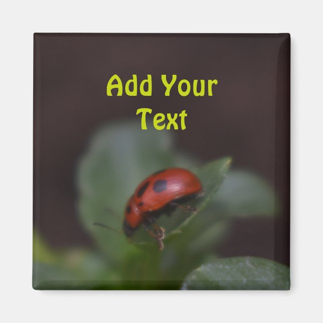 Ladybug on Flowers Magnet (Front)