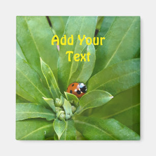 Ladybug on Flowers Magnet