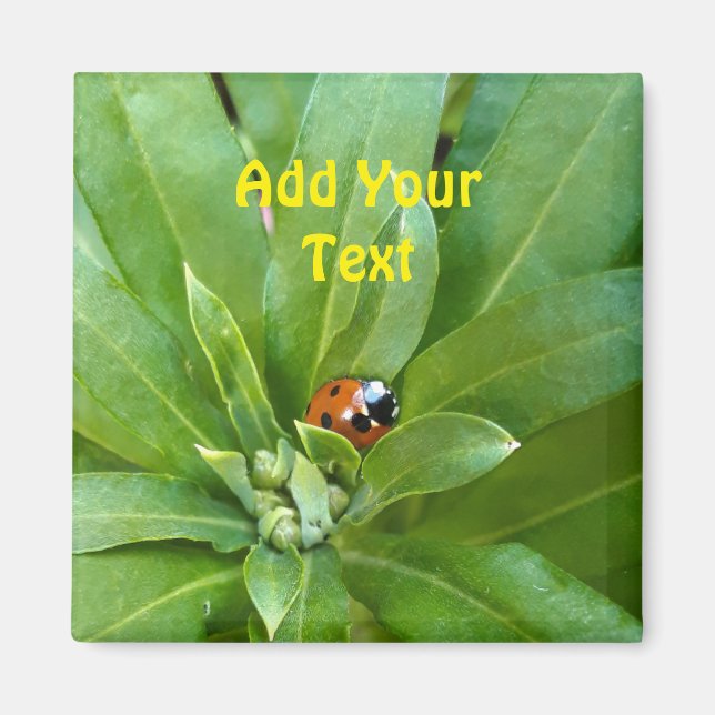 Ladybug on Flowers Magnet (Front)