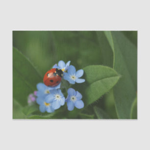 Ladybug On Flowers Tissue Paper
