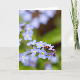 Ladybug on Forget-me-not Blank Greeting Card