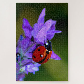 Ladybug on lavender jigsaw puzzle