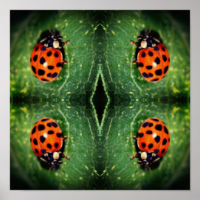 Ladybug On Leaf Close Up Abstract  Poster (Front)