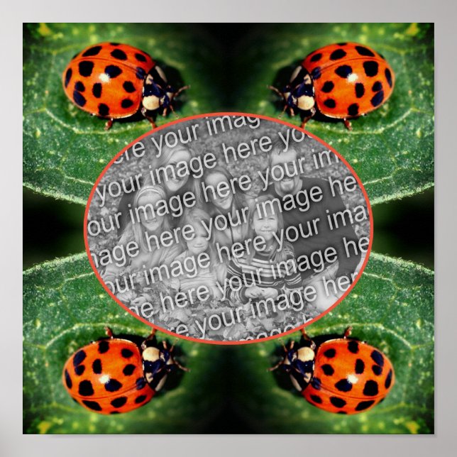 Ladybug On Leaf Frame Create Your Own Photo  Poster (Front)