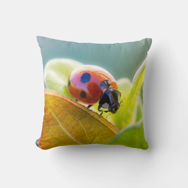 Ladybug On Leaf Throw Pillow (Front)