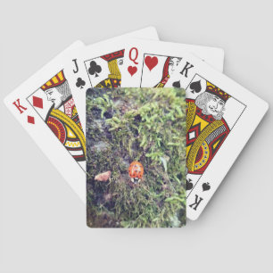 Ladybug on moss photography playing cards