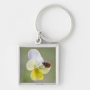 Ladybug on pansy, Biei, Hokkaido, Japan Keychain