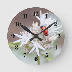 Ladybug on Silverleaf Phacelia Flowers Wall Clock